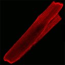 Thomas Hund - @tomjhund - Twitter