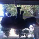 ベンジャミン - @benjamin__cloud - Twitter