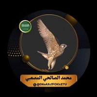 محمدالصالحي المصعبي(@D6oAXcfFOKIcETU) 's Twitter Profile Photo
