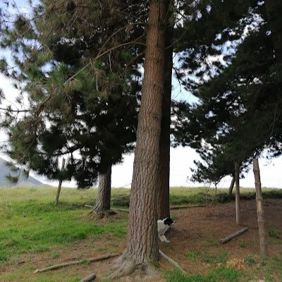 FRemache45746's profile picture. 