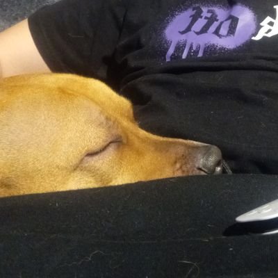 nolfoThoma98034's profile picture. 