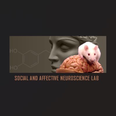 Social and Affective Neuroscience Research group based at KU Leuven | Rodent social communication and behaviour
