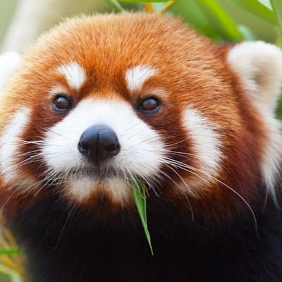 SubliThing1789's profile picture. 