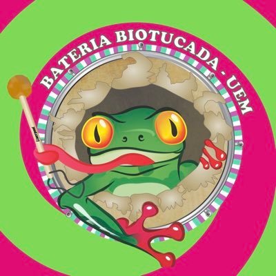 Bateria Universitária da Atlética Biológicas UEM 💚🩷🥁🐸🩷💚