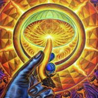 psilocybin shrooms store(@dr_LucyGoe) 's Twitter Profile Photo