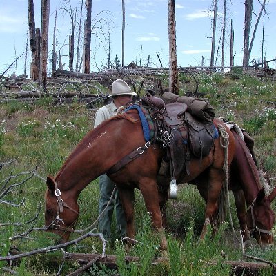 Truthful_Power's profile picture. MT/WY Wildernesses and backcountry.