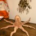 Annabelle Octo (@annabelleocto) Twitter profile photo Annabelle Octo (@annabelleocto) Twitter profile photo