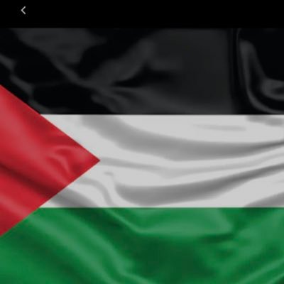 husni76's profile picture. Husband and father of three wonderful kids. First generation American! Son of Palestinian immigrants! https://t.co/4Q4nBGEZc1