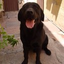 Alex Pedraza - @alex_pedraza - Twitter