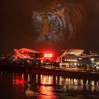 Indie music artist, investor, father!
Email - jmurdah513@yahoo.com   Member of the group C.S.G/ Owner of Cindependent Records
Die Hard Bengals Fan 
Rip blizz