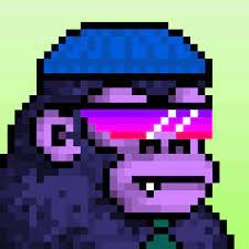 RobotokenR98525's profile picture. he/him, data analyst looking to transition to web3 full-time.n**Angel of Web3 education**