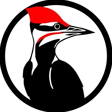 ruralbirdfeeder Profile Picture