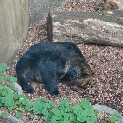 fyho00227681441's profile picture. 