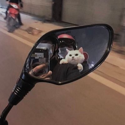 apparentlyalbo's profile picture. 20