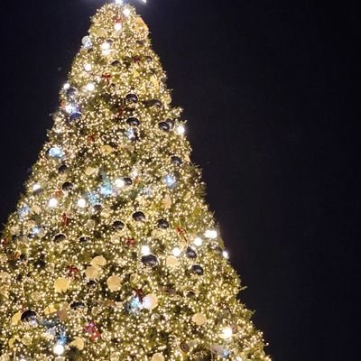 eunyu_1's profile picture. 연뮤💛 손유동 최연우 정휘
https://t.co/BNjRjxWYdZ