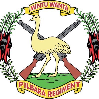 The Pilbara Regiment is part of the Regional Force Surveillance Group and the ears and ears of Defence in the Pilbara, Mid-West and Gascoyne regions of WA.