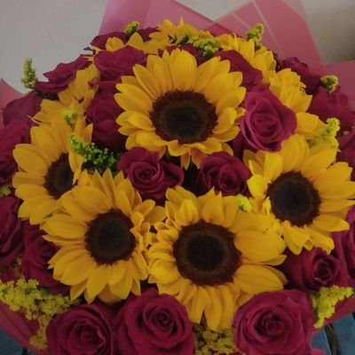 avila98237's profile picture. Ser muy paciente