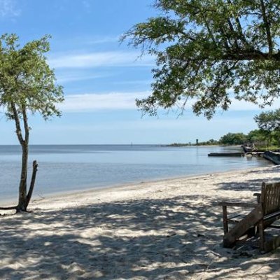 We are an conservancy group revitalizing the Historic Lincoln Beach in New Orleans, Louisiana, and looking to empower our communities with economic opportunity