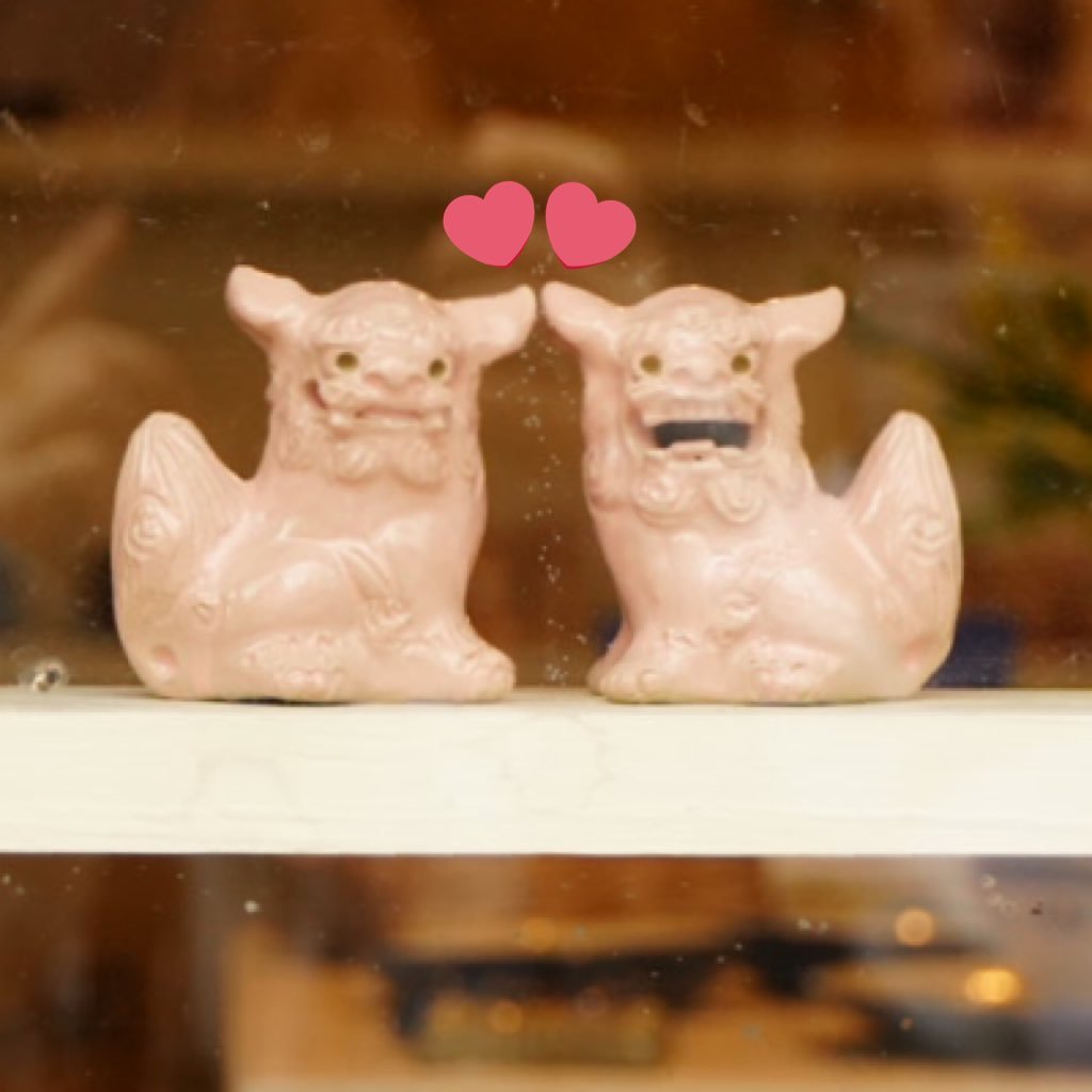 Dyhivct763hxiwP's profile picture. 📷専用｜無言フォロー大歓迎｜この垢はフォロバは基本しませんのでご安心ください｜Buffaloes.Lions.Marines main｜ゆっくりと写真をあげていきます☕️｜ひっそり転生｜お気に入りがあればどうぞ保存🆗｜