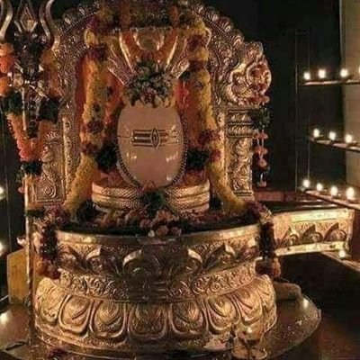 vidyanagarajan3's profile picture. 