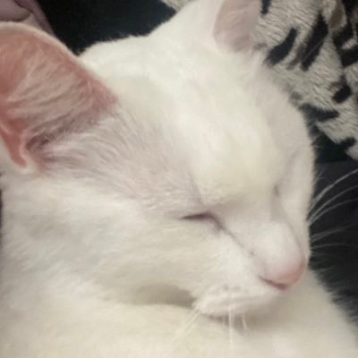 oyenivu's profile picture. 