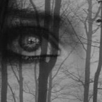 Raven Wood (@witchravenwood) 's Twitter Profile