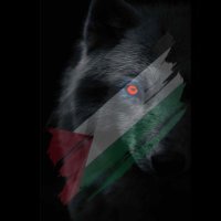 Hissa Almuhannadi (@hmaalmuhannadi) 's Twitter Profile Photo Hissa Almuhannadi (@hmaalmuhannadi) 's Twitter Profile Photo