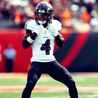lamar is a raven for life(I TOLD YAll) #ravensflock formerly marloszn44
