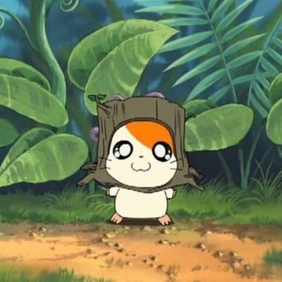 cricket 🐛 🪲 🐞さんのプロフィール画像