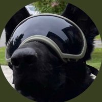 907MidNightRider (@907_midnightrdr) 's Twitter Profile