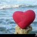 الكاسر♥ (@dkkw9yeeapbidl2) Twitter profile photo الكاسر♥ (@dkkw9yeeapbidl2) Twitter profile photo