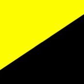 💛🐍🖤Jan Kubica 💛🐍🖤 (@jankubica_) 's Twitter Profile