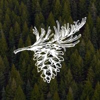 Evergreen AI (@evergreen_ed_ai) 's Twitter Profile