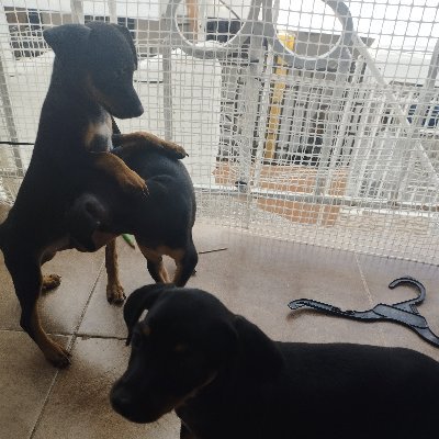 en busca de conocerme y aprender a querrer a los demas