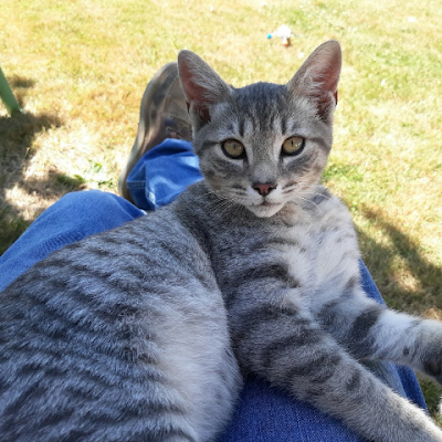 PatrickPri44905's profile picture. 