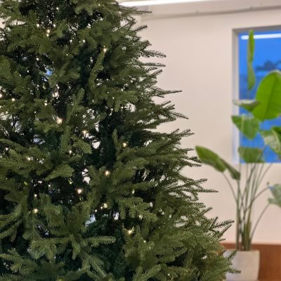 Bom_life__'s profile picture. 그냥 지나가다 만나면 인사해요 우리🙋🏻‍♀️