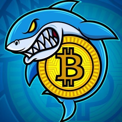 DayimIfnek51995's profile picture.