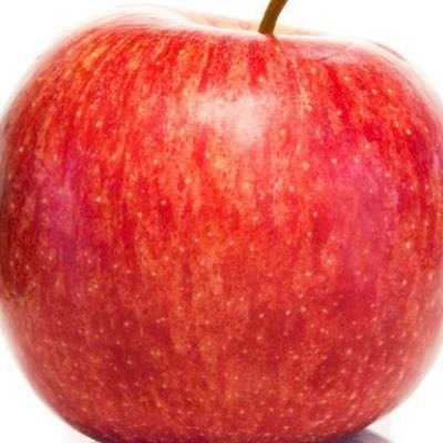 Ismaelhoneypot's profile picture. 