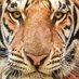 Hadi Aiin (@haiin1353) Twitter profile photo Hadi Aiin (@haiin1353) Twitter profile photo