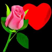heera maher (@jameel_nab29469) 's Twitter Profile