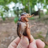 Passion Currency (@luckyhoder) 's Twitter Profile