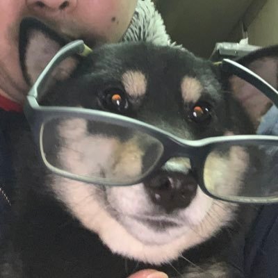 購入した漫画、見たアニメ、ゲームなどの感想やオタク趣味について呟いたりします。いきなりデジモンギア育成日記が始まったりします。たまにSS(TS物やMC物)を書くこともあります。