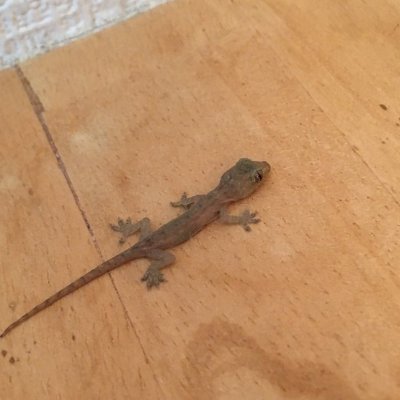 Spoke4321's profile picture. ごく稀にトロールをかますヨルOTPで、
𝐃𝐅𝐌よりも𝐙𝐄𝐓𝐀派で、
自称第5関連の人で、
Vやらボイロやらの絵ばっかいいねRTしてて、
自己紹介が連用形だらけで、
乄方が分からなくなっていて、
ここらで止めます。以上⏣