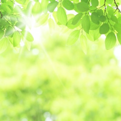 創業から30年連続黒字達成後、事業売却・FIRE達成/名古屋大学教育学部教育心理学科卒・産業カウンセラー・MENSA会員/特に経営者や起業したい方、自らが成長したい・人を成長させたい方向けに情報発信中/心理学・自己成長・経営・人財育成・採用・ギフテッド教育・M&A・FIRE・投資など/起業家・投資家