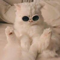 KarnKNS:) (@_kkklo_) 's Twitter Profile