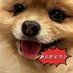 さんご{珊 瑚} (@san_go_1212) Twitter profile photo さんご{珊 瑚} (@san_go_1212) Twitter profile photo