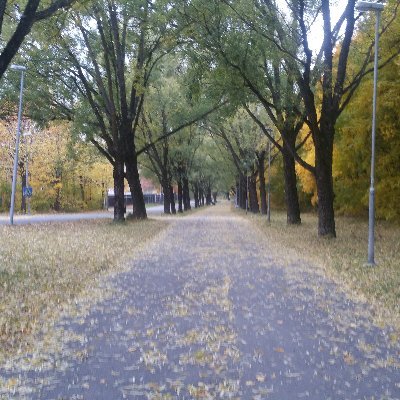 kooelalah's profile picture. 