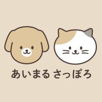 札幌市動物愛護管理センター（あいまる さっぽろ）(@sapporo_dobutsu) 's Twitter Profile Photo
