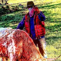 garçon (@aaronmayintern) 's Twitter Profile Photo garçon (@aaronmayintern) 's Twitter Profile Photo