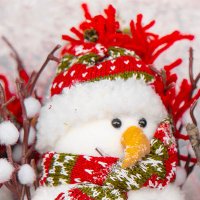 Winterwhacker (@winterwhackerr) 's Twitter Profile